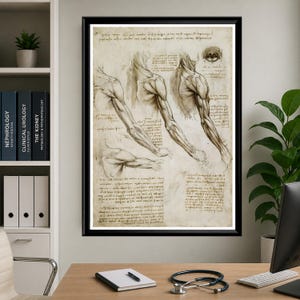 Leonardo Da Vinci anatomy poster set featuring detailed vintage sketches of the human body, perfect for medical or educational wall decor.