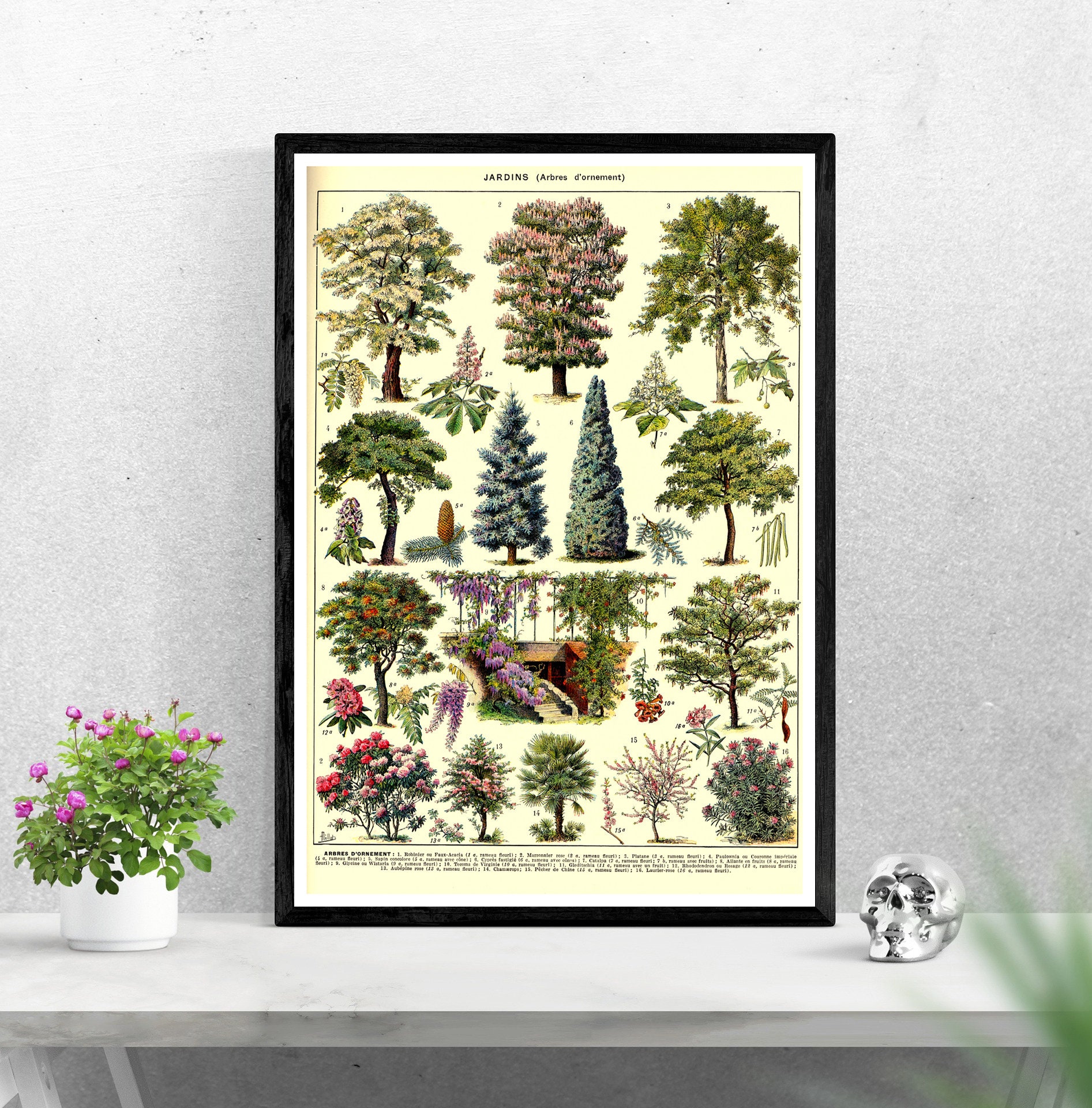 Trees Botanical Posters Set of 2 Trees Prints Vintage - Etsy