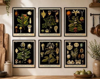 Botanical Poster Set Vintage Plant Prints Antique Scientific Wall Art Kitchen Decor