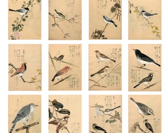 Japanese Birds Postcards Antique Birds Prints Vintage Japanese Birds On Branch Postcards Set Of 12 Vintage Birds Painting Japan Prints