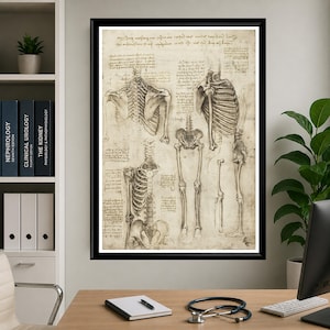 Leonardo Da Vinci anatomy poster set featuring detailed vintage sketches of the human body, perfect for medical or educational wall decor.