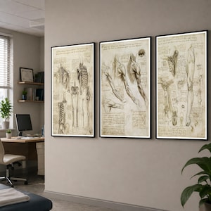 Leonardo Da Vinci anatomy poster set featuring detailed vintage sketches of the human body, perfect for medical or educational wall decor.