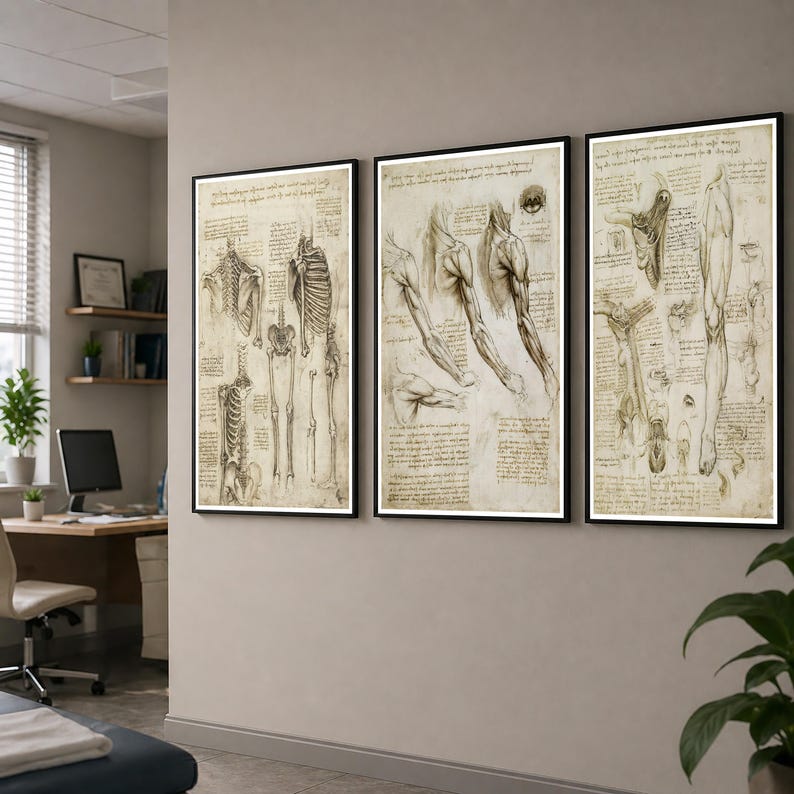 Leonardo Da Vinci anatomy poster set featuring detailed vintage sketches of the human body, perfect for medical or educational wall decor.