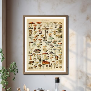 Vintage poster met paddestoelen, antieke kunst aan de muur met schimmelgrafiek, Adolphe Millot educatieve keukenprint, decor rustieke botanische paddestoel