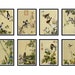 see more listings in the Vintage Japanese Art Set section