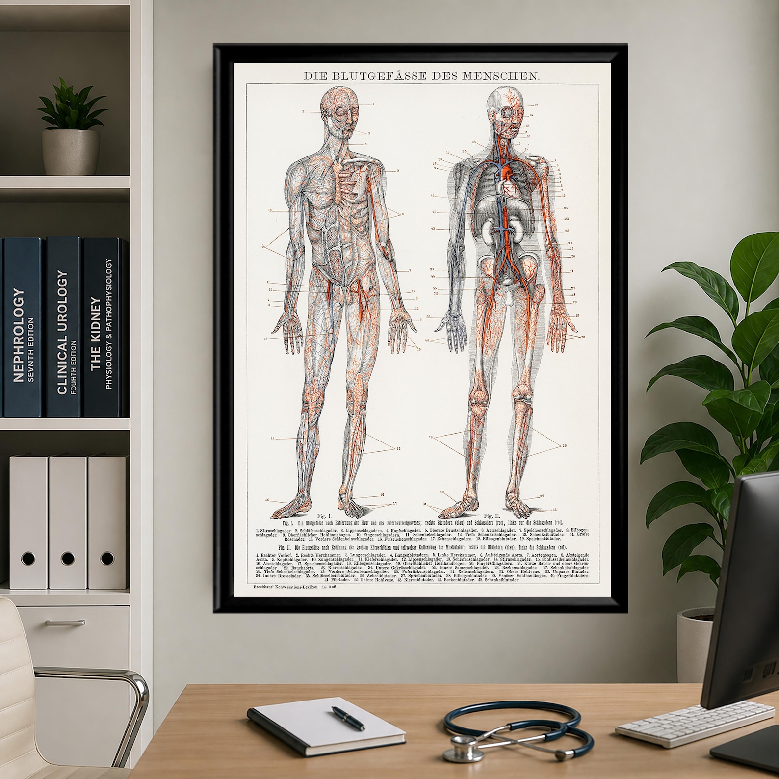 Vintage Anatomy Poster Set Human Body Prints Medical Wall Art Muscular ...