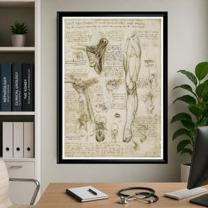 Leonardo Da Vinci anatomy poster set featuring detailed vintage sketches of the human body, perfect for medical or educational wall decor.