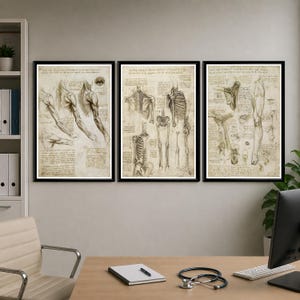 Leonardo Da Vinci anatomy poster set featuring detailed vintage sketches of the human body, perfect for medical or educational wall decor.