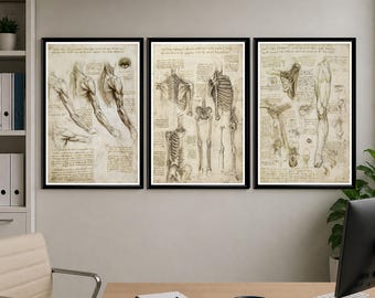 Anatomy Posters Set of 3, Leonardo Da Vinci Anatomical Prints, Vintage Medical Wall Art, Human Body Scientific Art, Antique Gift for Doctor