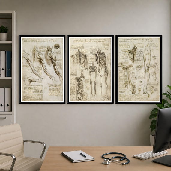 Anatomy Posters Set of 3, Leonardo Da Vinci Anatomical Prints, Vintage Medical Wall Art, Human Body Scientific Art, Antique Gift for Doctor