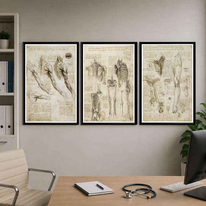 Leonardo Da Vinci anatomy poster set featuring detailed vintage sketches of the human body, perfect for medical or educational wall decor.