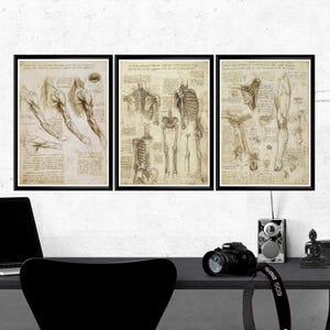 Set di 3 poster di anatomia, stampe anatomiche di Leonardo da Vinci, arte murale medica vintage, arte scientifica del corpo umano, regalo antico per medico