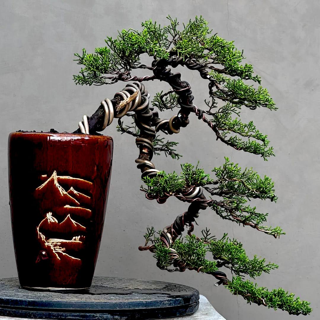 盆栽 - Etsy 日本