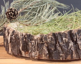 White Pine Needle Tea - White Pine Needles Tea - Wildcrafted Foraged Pine Needles