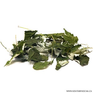 May include: A pile of dried green and white leaves, probably from a raspberry plant, scattered on a white background.