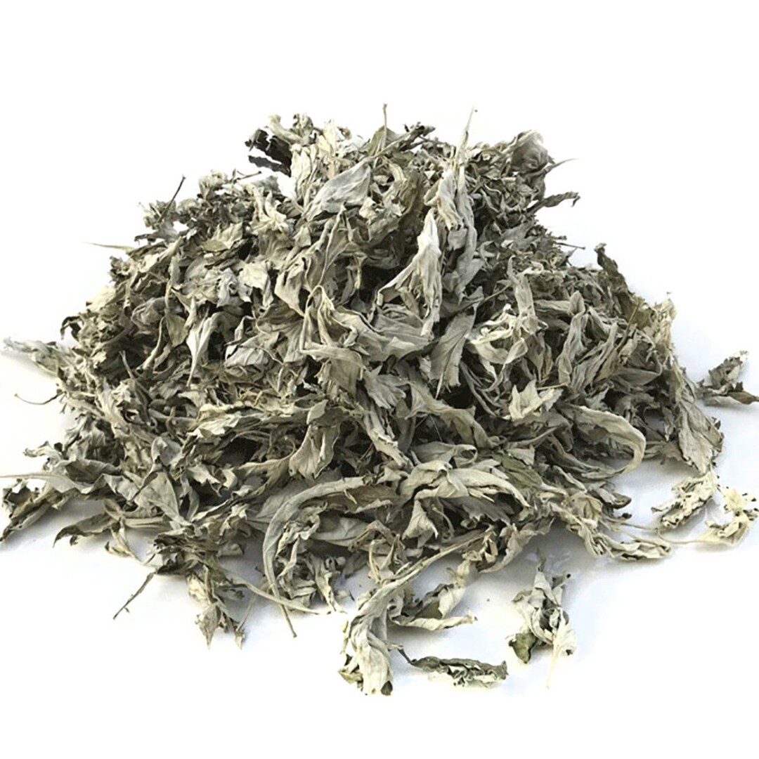 Dried Mugwort Etsy Canada