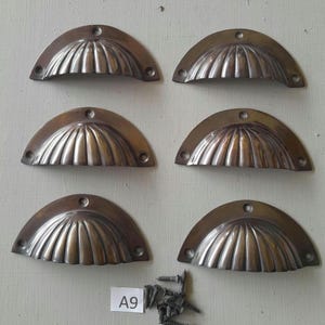 May include: Six antique-style, silver-toned, shell-shaped cabinet pulls with a decorative ribbed design. The pulls are arranged in two rows of three. A small pile of screws is included.