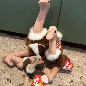 Puede incluir: Tres juguetes de peluche de avestruz. Las avestruces tienen cuellos largos y rosados, cuerpos marrones y cuellos blancos y esponjosos. Cada juguete tiene una etiqueta roja en forma de corazón con una estrella amarilla. Los juguetes están sobre una alfombra estampada.