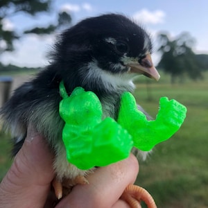 Hulk funny tiny arms for baby chickens and birds