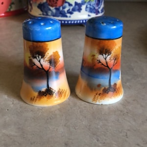 Vintage Japan salt and pepper shakers