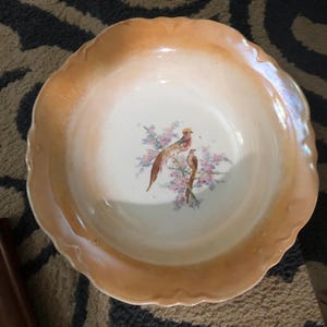 May include: A vintage, white ceramic bowl with a scalloped rim and a peach-colored glaze. The bowl features a hand-painted design of two birds perched on a branch with pink flowers.