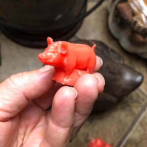 May include: A small, bright red pig figurine with a smooth, molded surface. The pig is depicted in a standing position with pointed ears, a snout, and a short tail. The figure has a solid base and is crafted from a uniform, opaque red material.