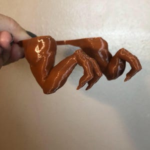 Trex arms for chickens Funny Gifts
