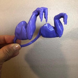 Trex arms for chickens Funny Gifts