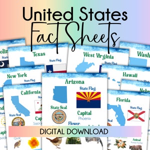 United States Fact Sheets Learn About the United States United States Geography United States State Flags Homeschooling Decor Printable