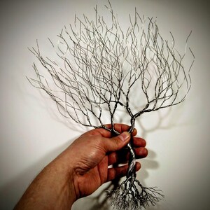 May include: A wire sculpture of a tree with a twisted trunk and intricate branches. The tree is made of silver wire and has a natural, organic look.