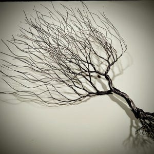 May include: A black wire sculpture of a tree with branches reaching out in a windswept pattern. The tree is mounted on a wall and has a shadow cast below it.