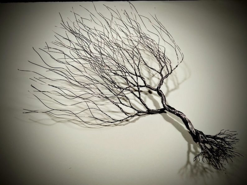 May include: A black wire sculpture of a tree with branches reaching out in a windswept pattern. The tree is mounted on a wall and has a shadow cast below it.