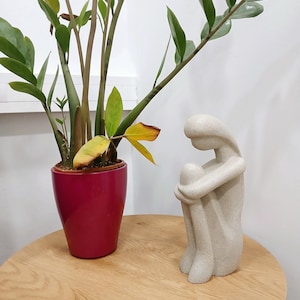 May include: A Zamioculcas zamiifolia plant in a magenta pot and a beige stone sculpture of a person sitting with their knees to their chest on a wooden table. The plant has green leaves and stems.