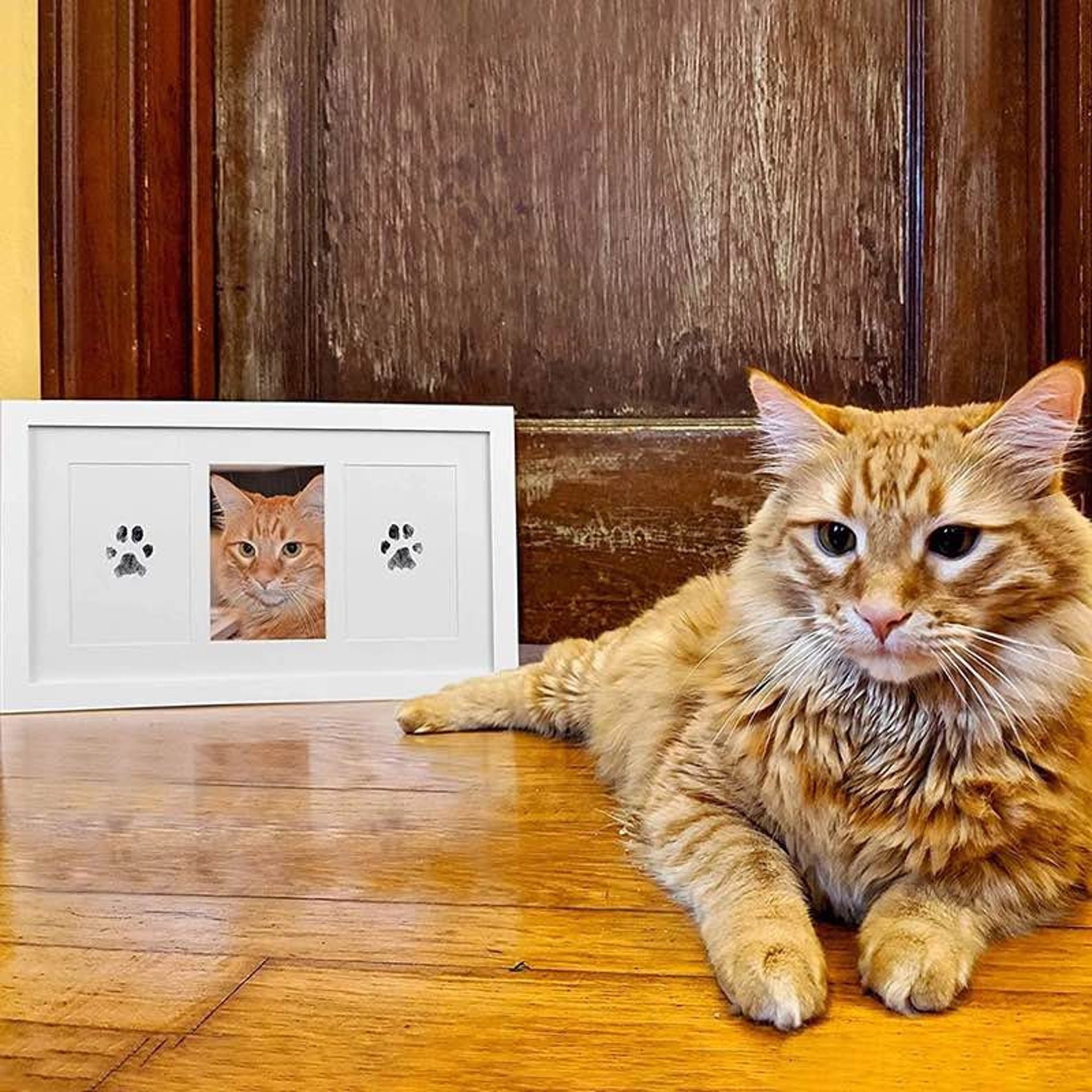 Paw Print Ink Pad / Baby Foot Ink Pad/ Hand Ink Pad Etsy