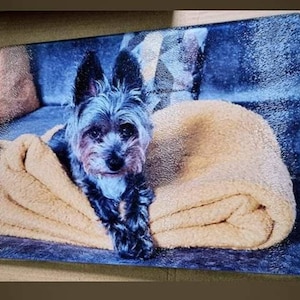 Personalised Glass Chopping Board or Centrepiece. Custom Printed A4 Chinchilla Glass – Add Photos, Logos or Text.