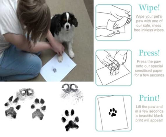 Dog Paw Print Kit Inkless, Dog Paw Print Products