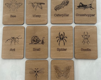 Cartões de madeira com insetos, método Montessori para identificação da natureza, ferramenta educativa para crianças.