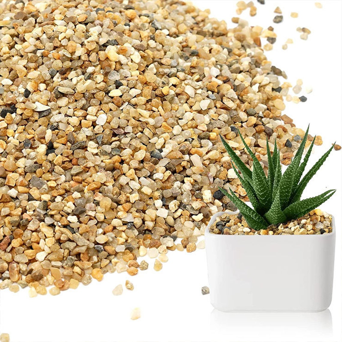 Coarse Sand for Plants Soil Cover Succulents and Cactus Etsy