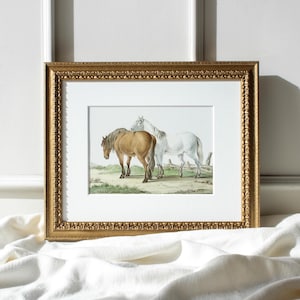 Companians #10, Framed Horse Art Print, Vintage Farm Animal Illustration, Rustic Country Decor, Antique Style Equestrian Wall Art Sketch