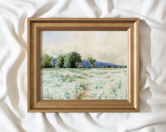 Field of Daisies #200 | Vintage Framed Wall Art Paintings | Antique Art Prints | Vintage Landscape Painting Framed