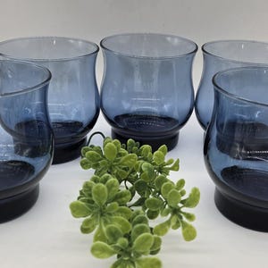 May include: Six blue-tinted glass tumblers with a rounded shape and dark blue bases. The glasses are arranged in a group, with a sprig of green foliage in the foreground. The glasses are likely for serving beverages.