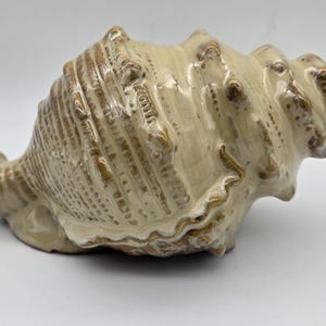 May include: A ceramic seashell sculpture with a beige and brown glaze. The shell has a detailed, textured surface and a curled shape.