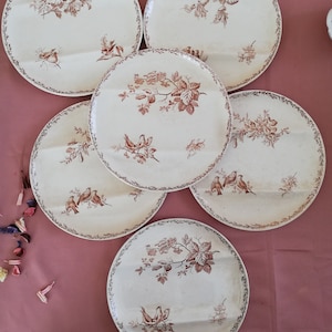 French antique plates Creil and Montereau bird transferware