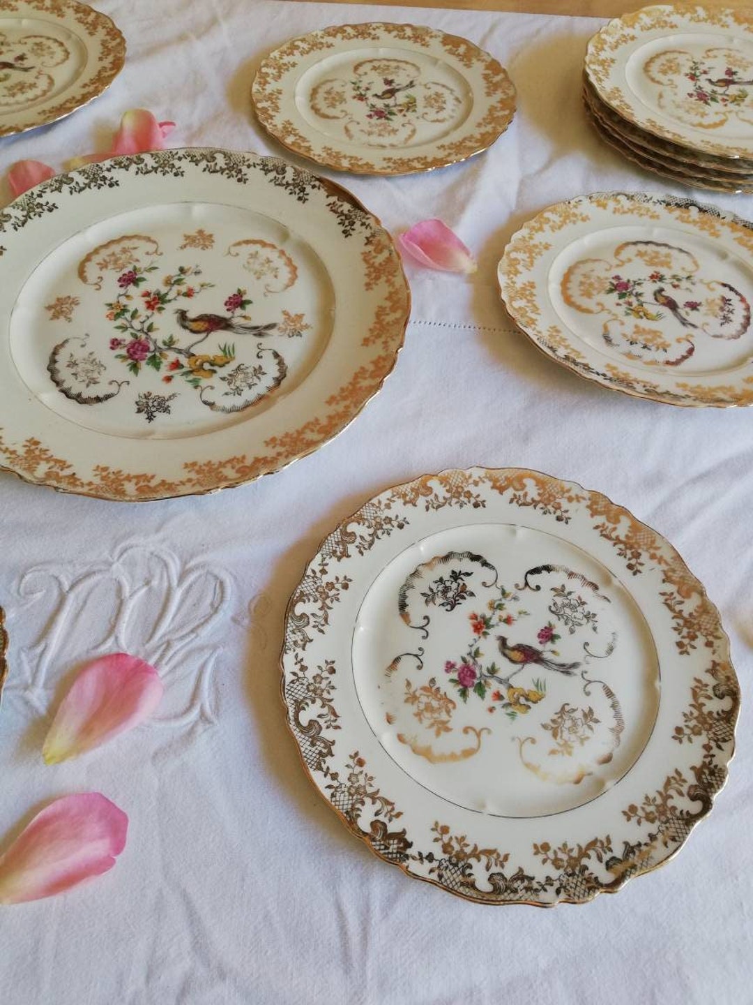 Plates and Dish Haviland Limoges Bird of Paradise / French Porcelain