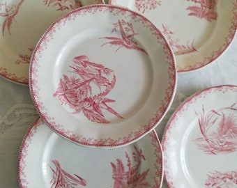 Puede incluir: Juego de cuatro platos de cerámica blanca con diseños florales y de pájaros rosas. Los platos tienen un borde festoneado y un delicado patrón floral rosa.