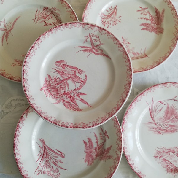 Assiettes en terre de fer rose Oiseaux Pexone