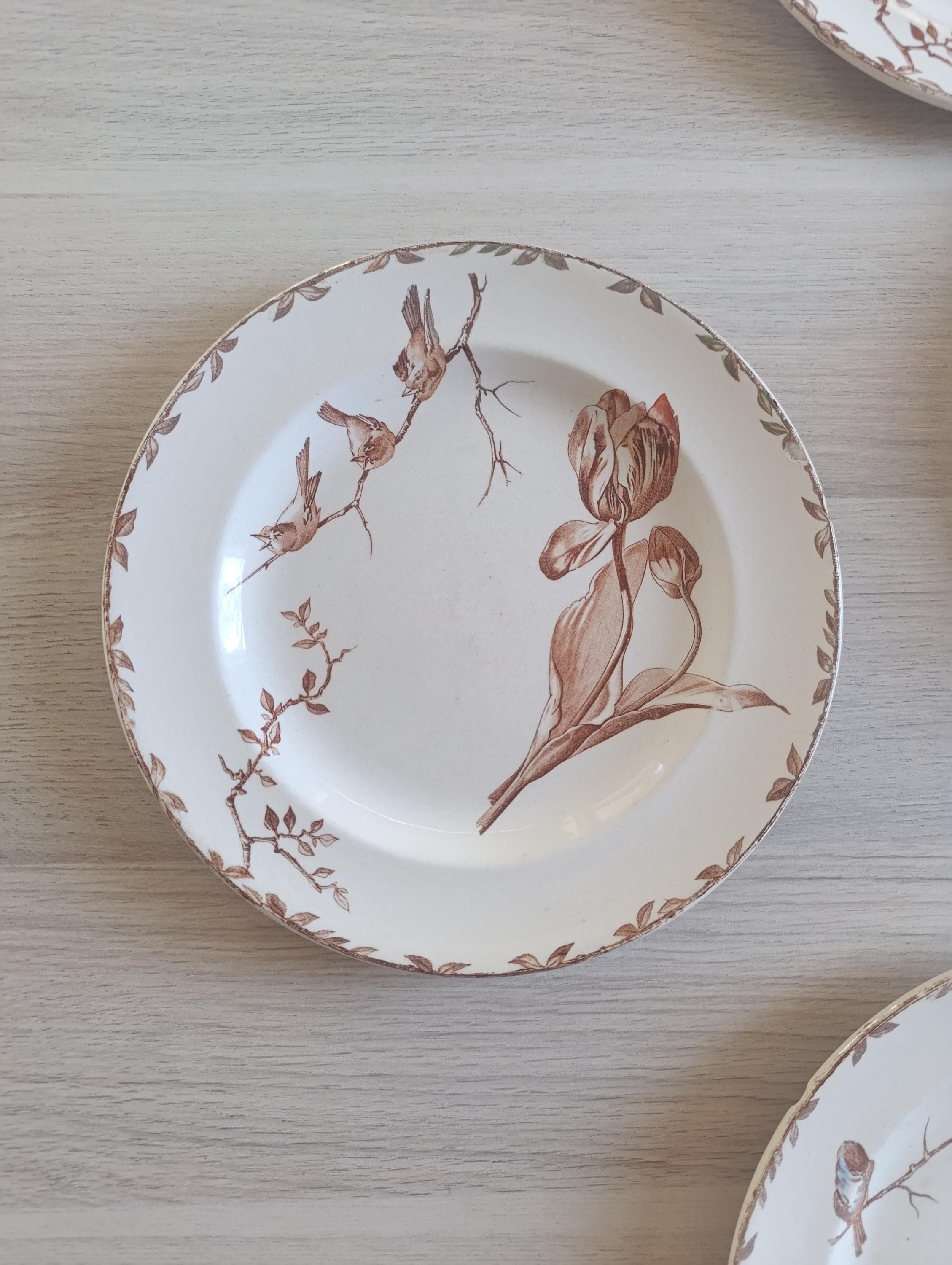 フランスchoisy le roi ショワジールロワHENRIETTE 平皿 赤 本物