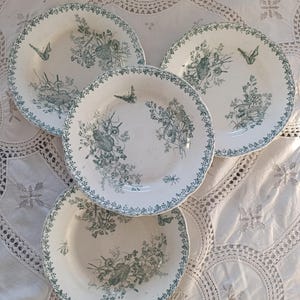 Puede incluir: Un conjunto de cuatro platos de cerámica blanca con un diseño floral y de insectos en verde. Cada plato presenta un borde detallado y una ilustración central de flores, insectos y mariposas. Los platos están dispuestos sobre un mantel blanco de encaje.