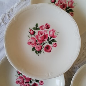 Gien rose bouquet plate / Ironstone plates Gien rose transferware