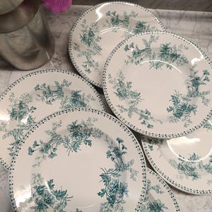 Puede incluir: Juego de seis platos de cena de cerámica blanca con un patrón floral verde. Los platos tienen un borde festoneado y un borde elevado.